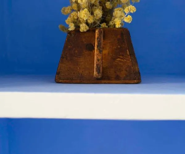 Bonal La Mata de los Olmos